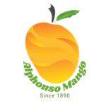 Buy alphonso Mango
