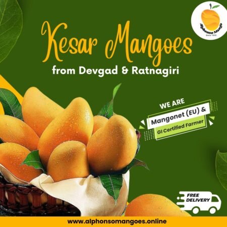 order kesar mangoes online