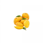 buy ratnagiri alphonso mango online