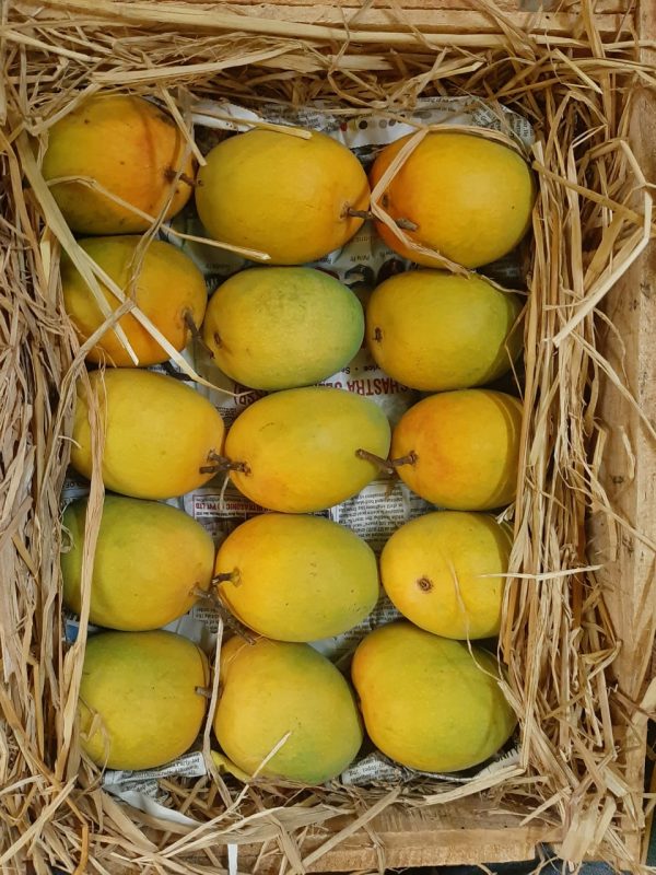 buy Alphonso mangoes online
